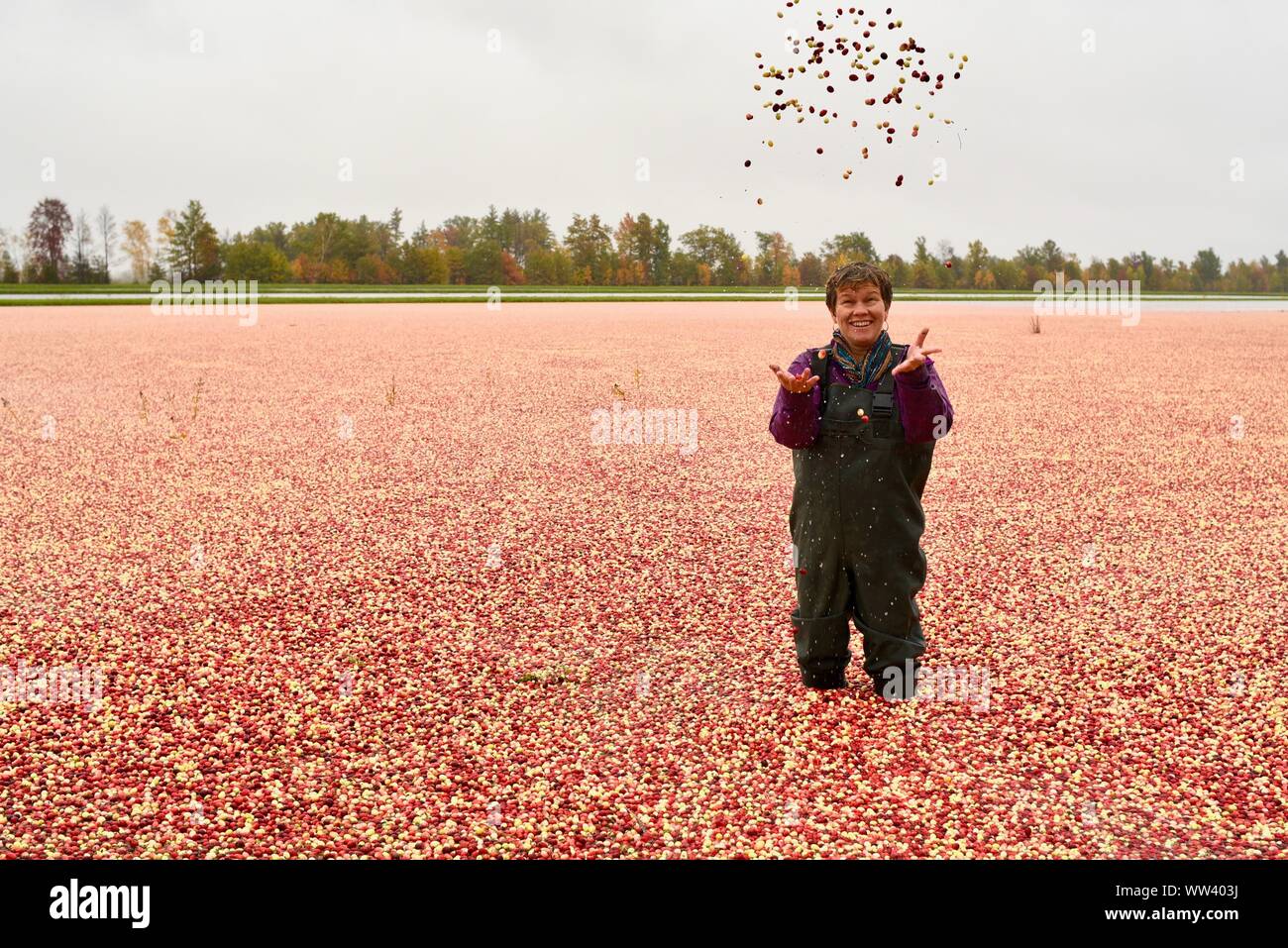 Laughing woman in waders tossing cranberries in air surrounded by