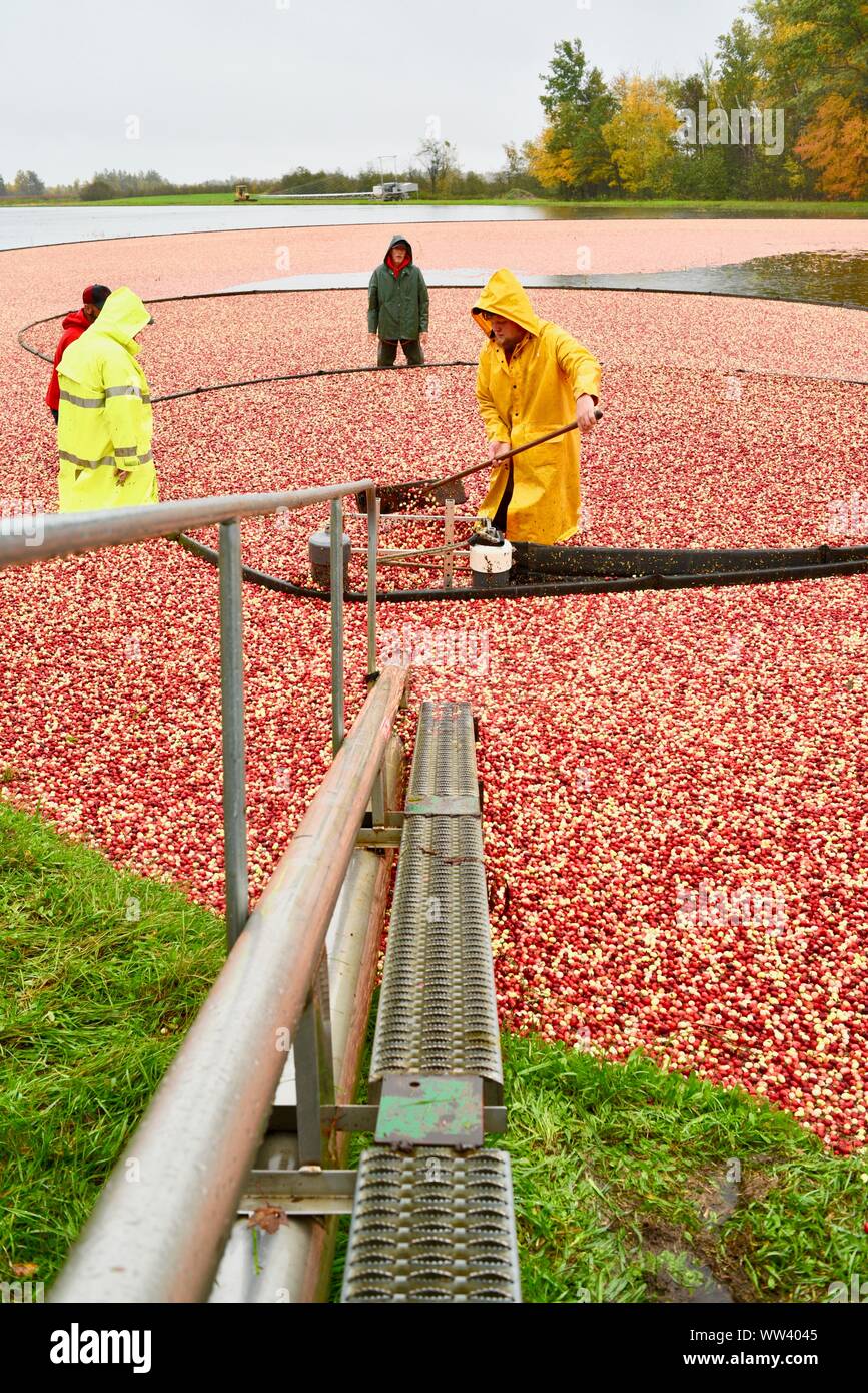 Rain jackets hires stock photography and images Alamy