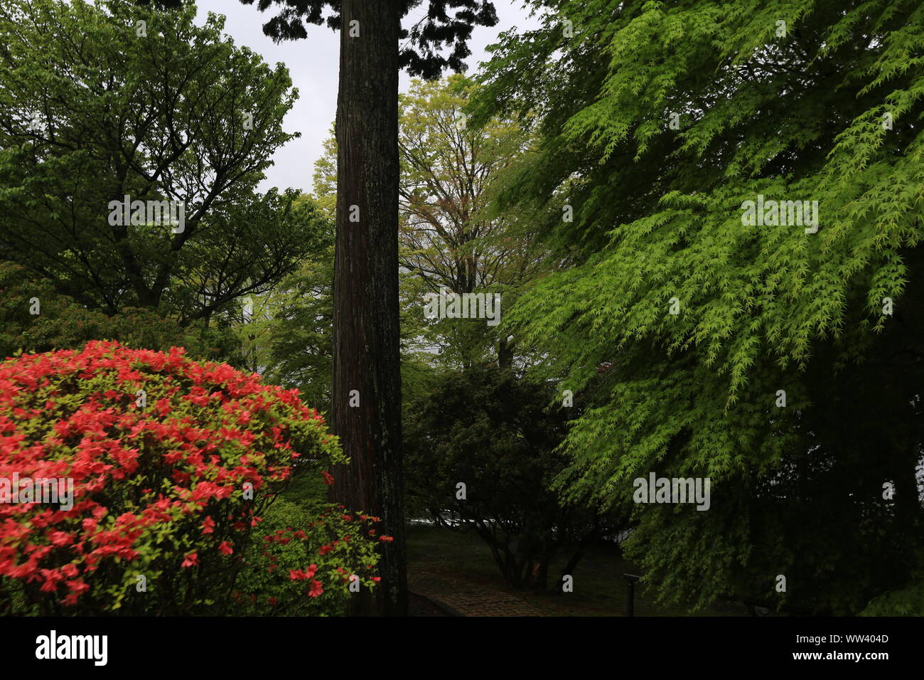 High resolution photos of japan hi-res stock photography and images - Alamy