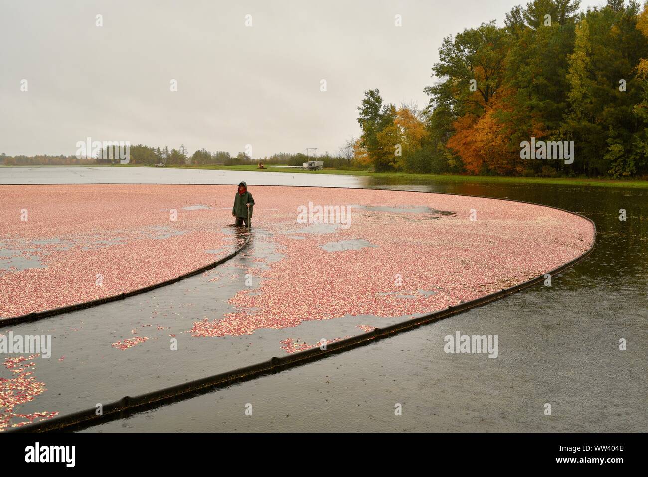 Rain jackets hires stock photography and images Alamy