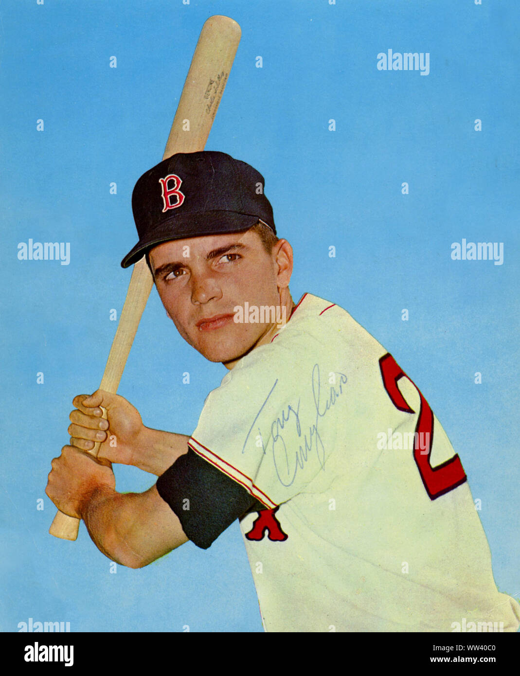 Autographed photo of Tony Conigliaro who as a young rising star player with the Boston Red Sox in the 1960's was hit in the face with a pitch and never regained his status, though he played again until the mid 1970's. Stock Photo