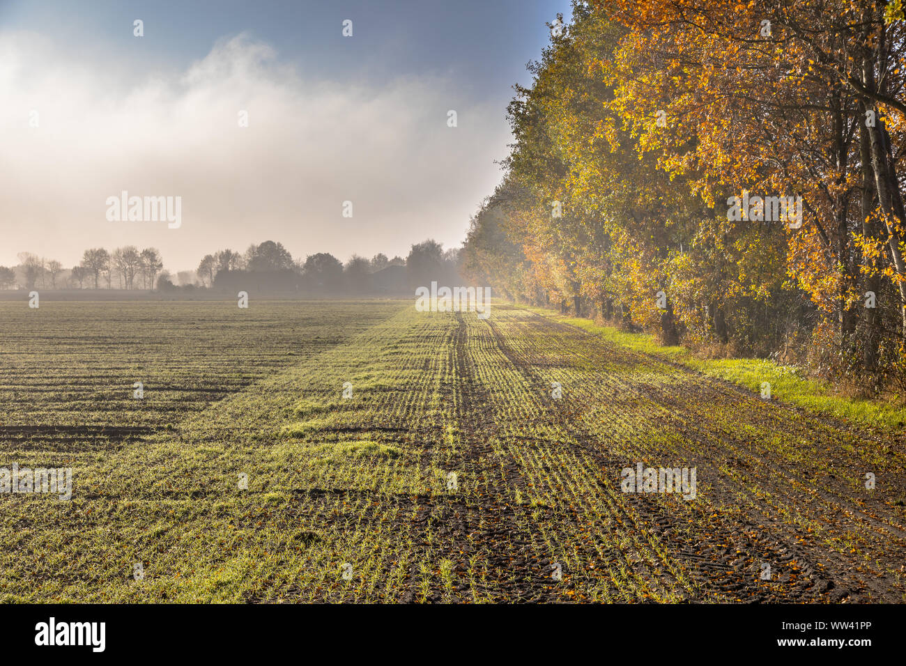 German Countryside High Resolution Stock Photography And Images Alamy