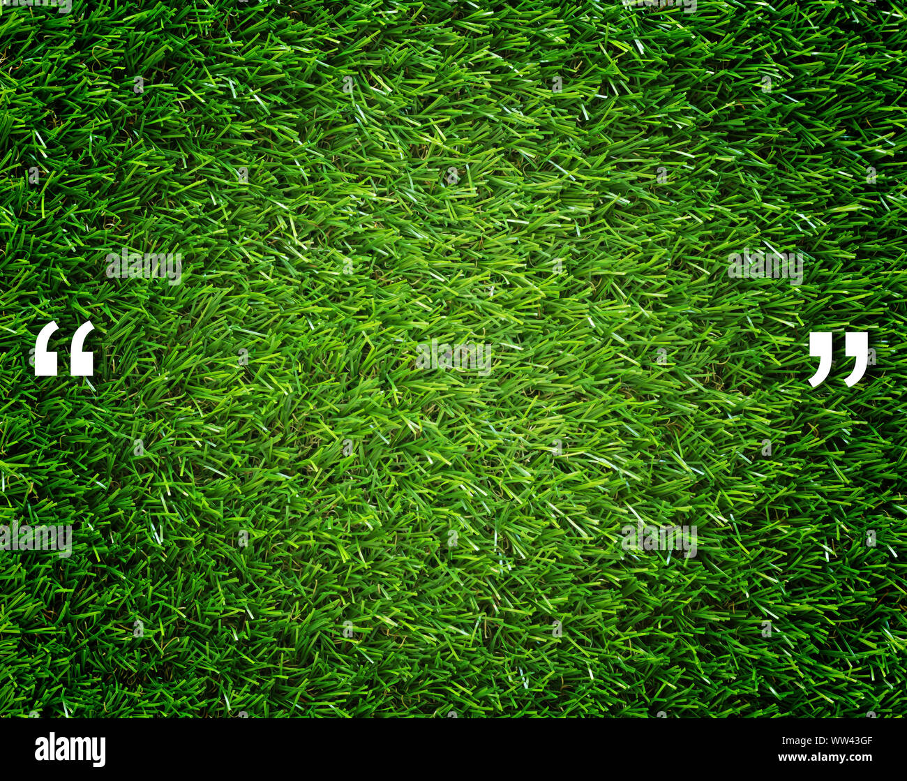 Quotation mark and copy space on green grass background, communication ...