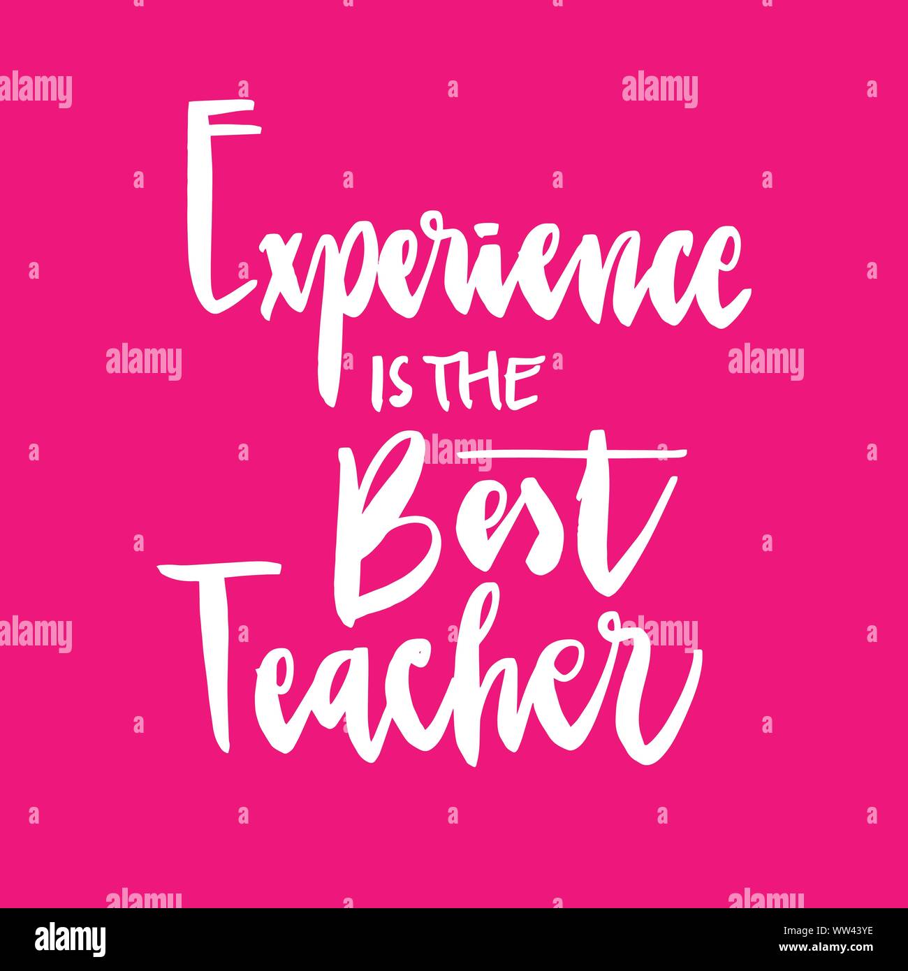 Lettering words Experience is the best teacher Stock Vector Image
