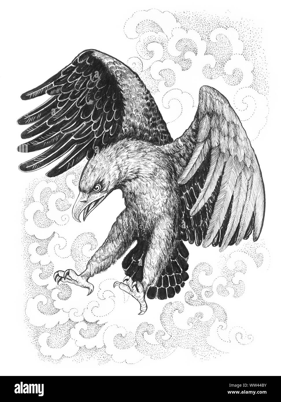 Eagle Attack Stock Photos Eagle Attack Stock Images Alamy