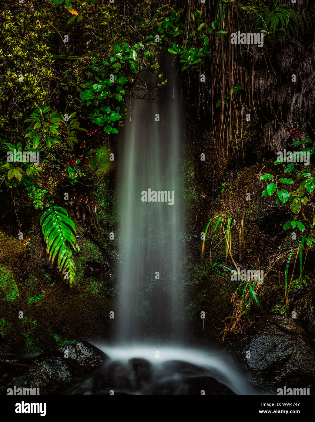 Let The Water Fall - New Zealand Stock Photo