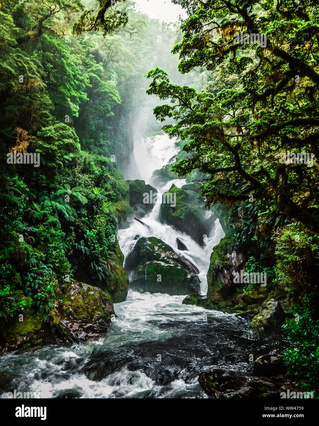 Let The Water Fall - New Zealand Stock Photo