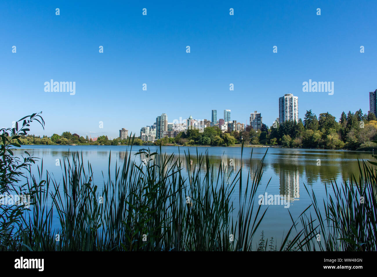 Lost Lagoon in Stanley Park in Vancouver, British Columbia, Canada looking towards downtown urban apartments near the beautiful summer nature. Stock Photo