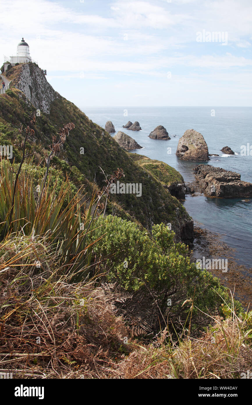 Small islands and lighthouse Nugget Point South Island New Zealand Stock Photo