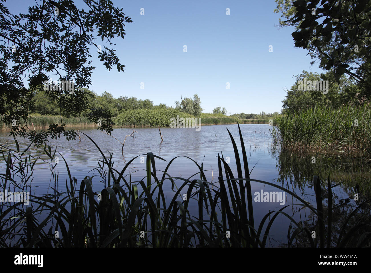 Punte alberete hi-res stock photography and images - Alamy