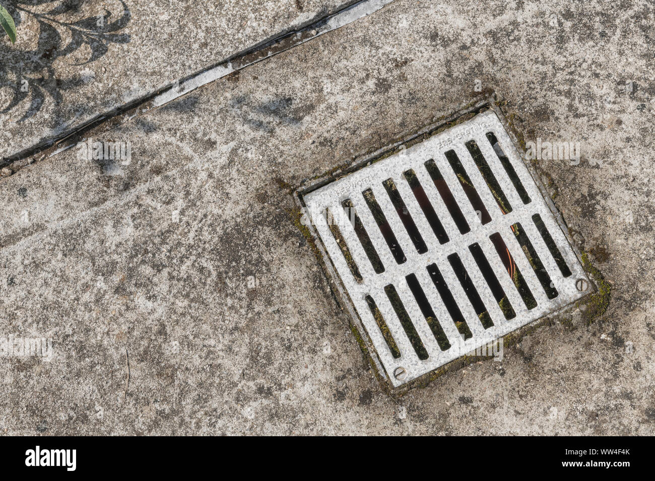 Metal drain cover (name of manufacturer embossed faintly) set in an