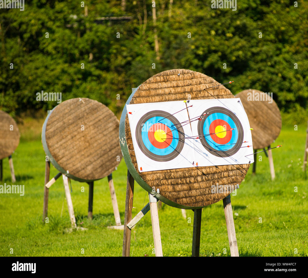 Arrow bullseye archery bullseye day hi-res stock photography and images ...