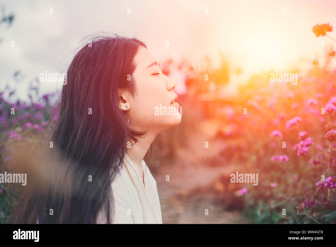 beautiful Asian girl gentle breathing in the flower field sunset beauty moment scene Stock Photo