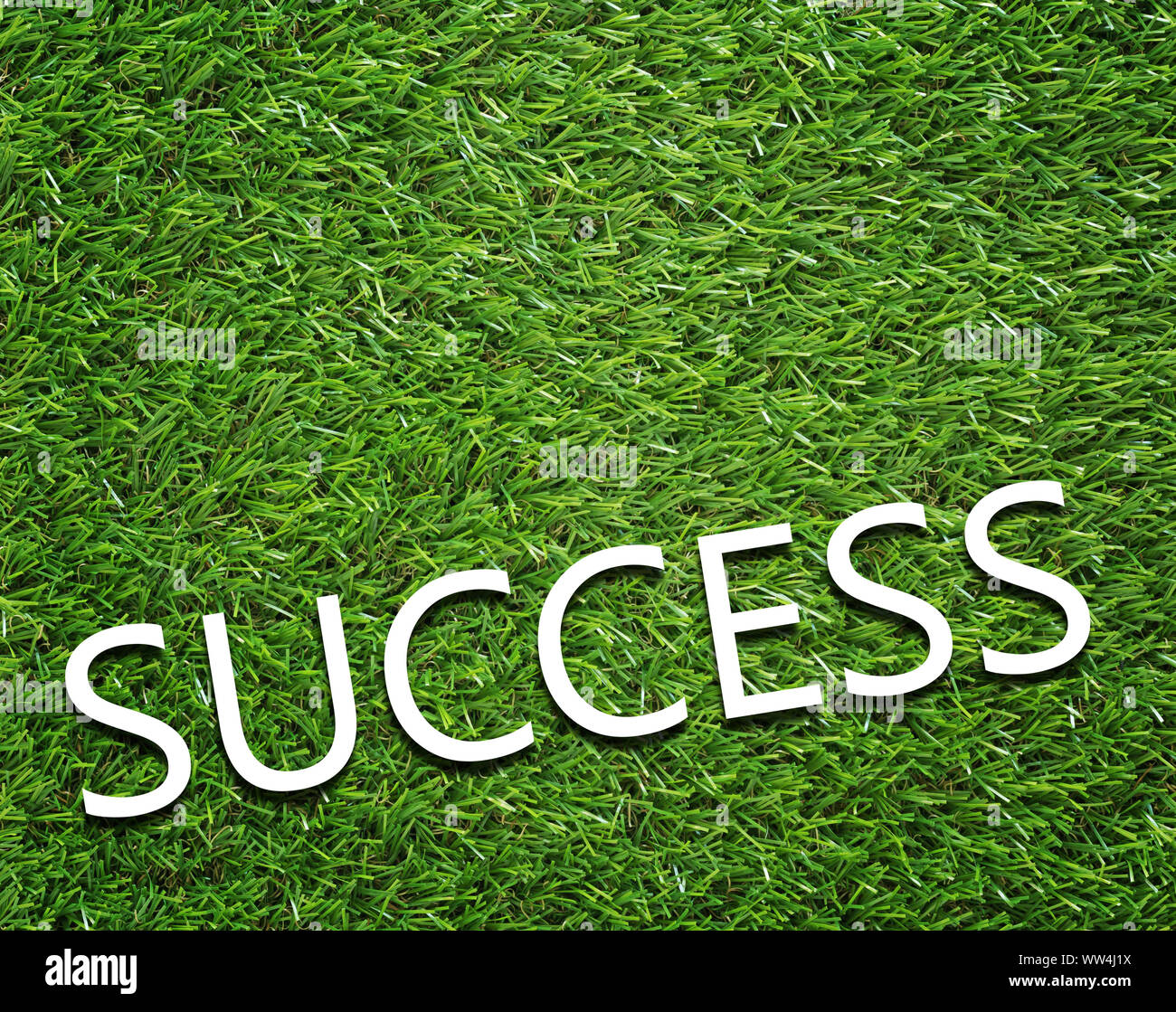 Business success concept on green grass background Stock Photo - Alamy