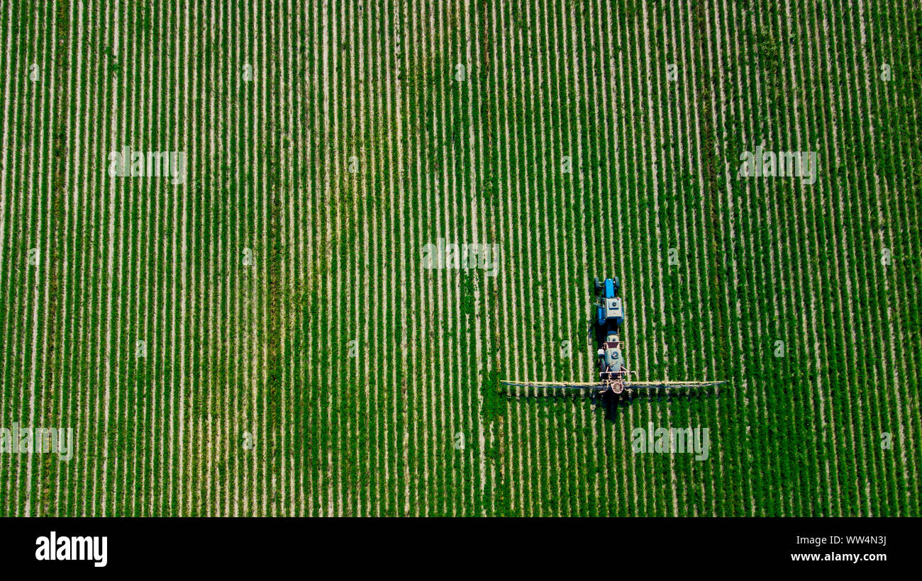 Corn field aerial weed hi-res stock photography and images - Alamy
