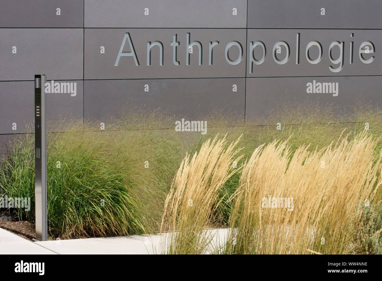 The new building for anthropology on the site of Johannes Gutenberg university in Mainz, Stock Photo