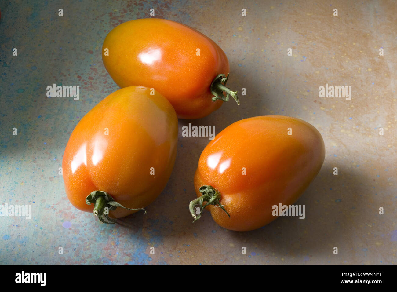 Three plum tomatoes on coloured background Stock Photo