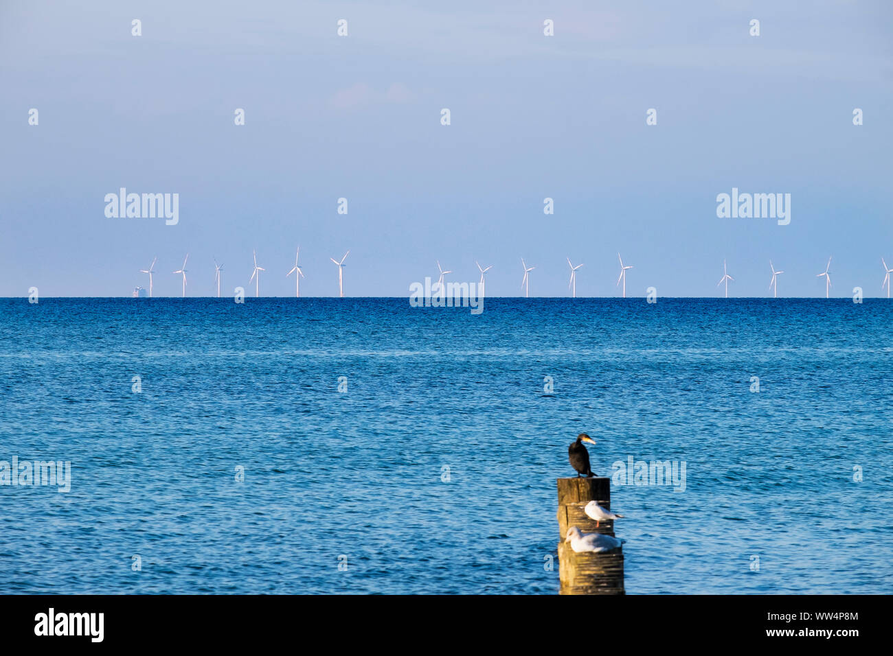 Offshore wind power stations in the Baltic Sea, seen from Prerow, DarÃŸ, Fischland-DarÃŸ-Zingst, Mecklenburg-West Pomerania, Germany Stock Photo