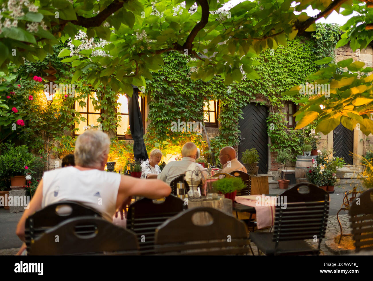 Guest garden of the inn zum Storch, Prichsenstadt, Lower Franconia, Franconia, Bavaria, Germany Stock Photo