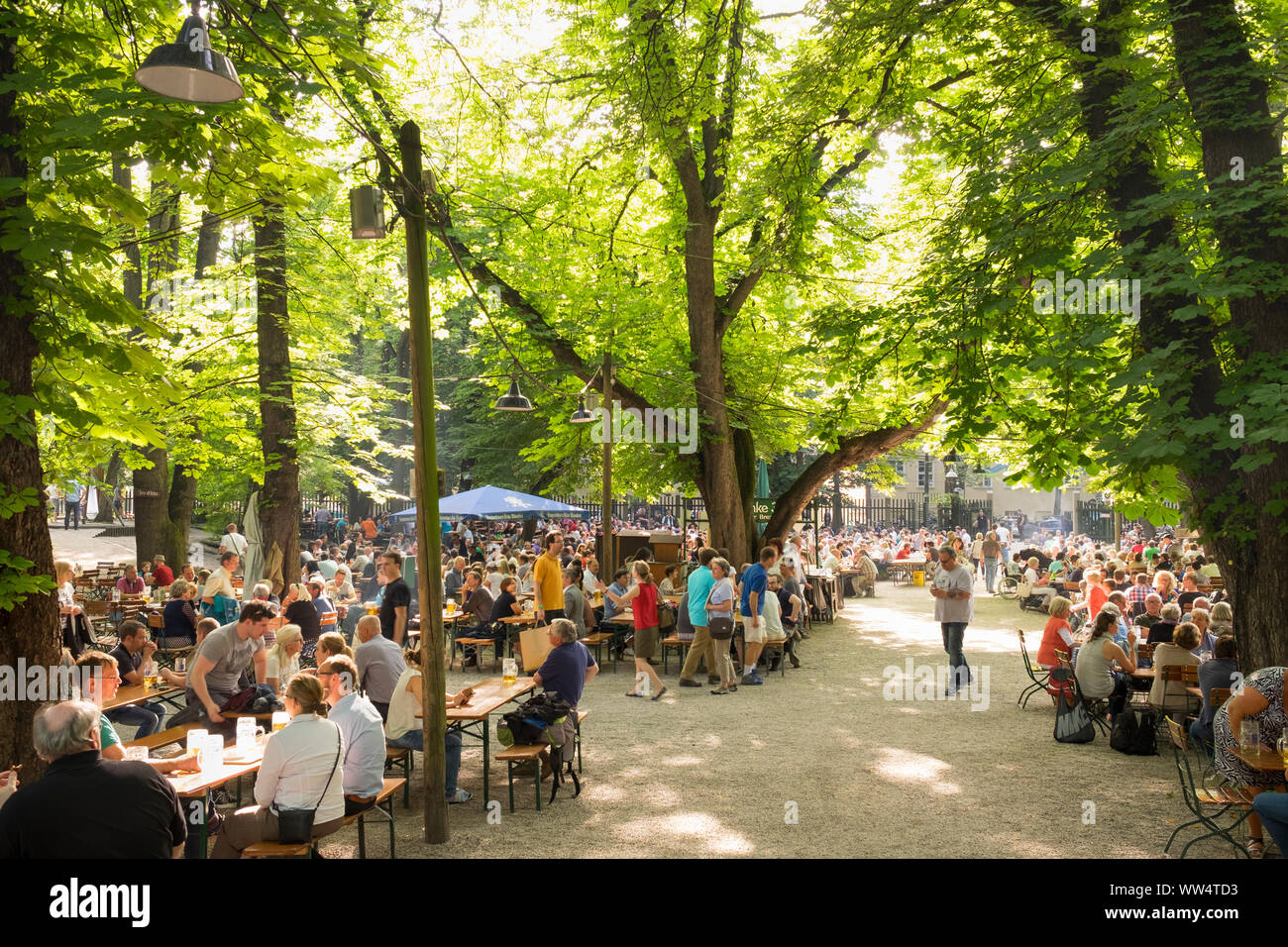 Beer garden, Augustiner Keller, Munich, Maxvorstadt, Upper Bavaria, Bavaria, Germany Stock Photo