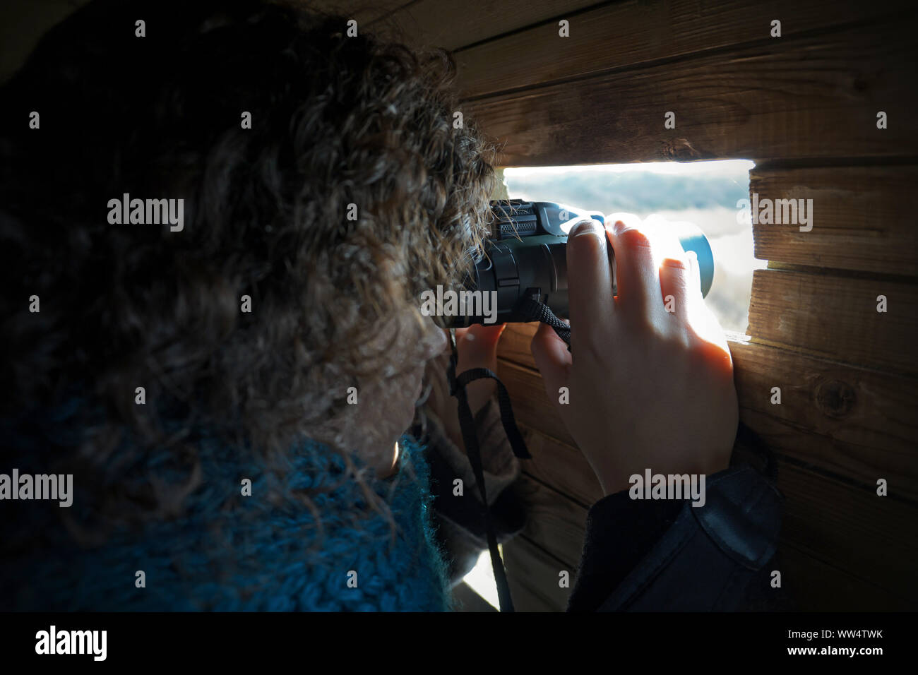 Woman hidden in a shack, watching wildlife though binoculars. Stock Photo