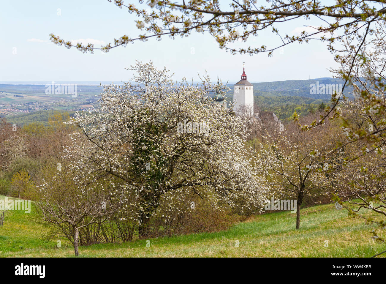 Castle Forchtenstein, north Burgenland, Burgenland, Austria Stock Photo