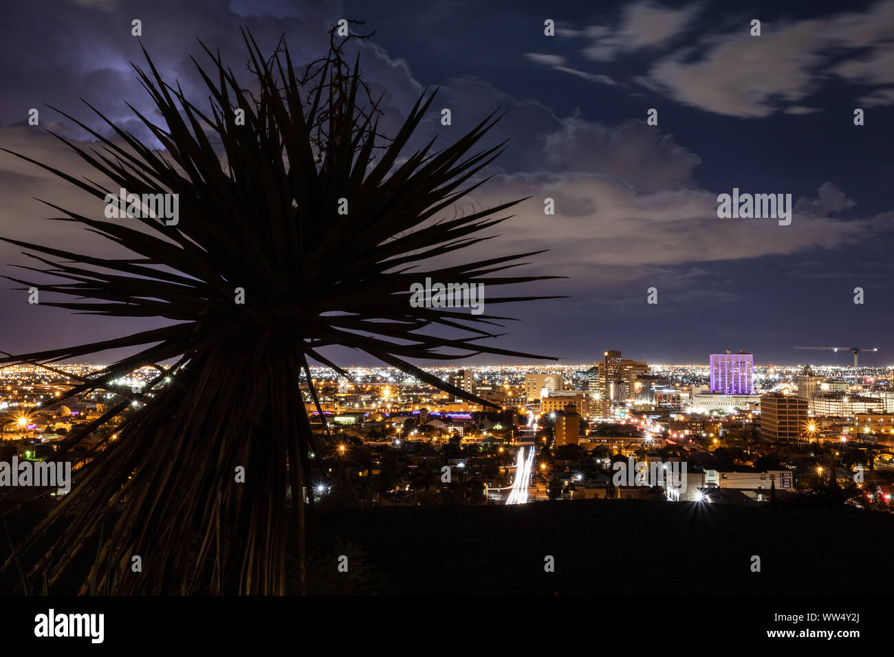 El Paso Skyline at Night with Yucca Stock Photo