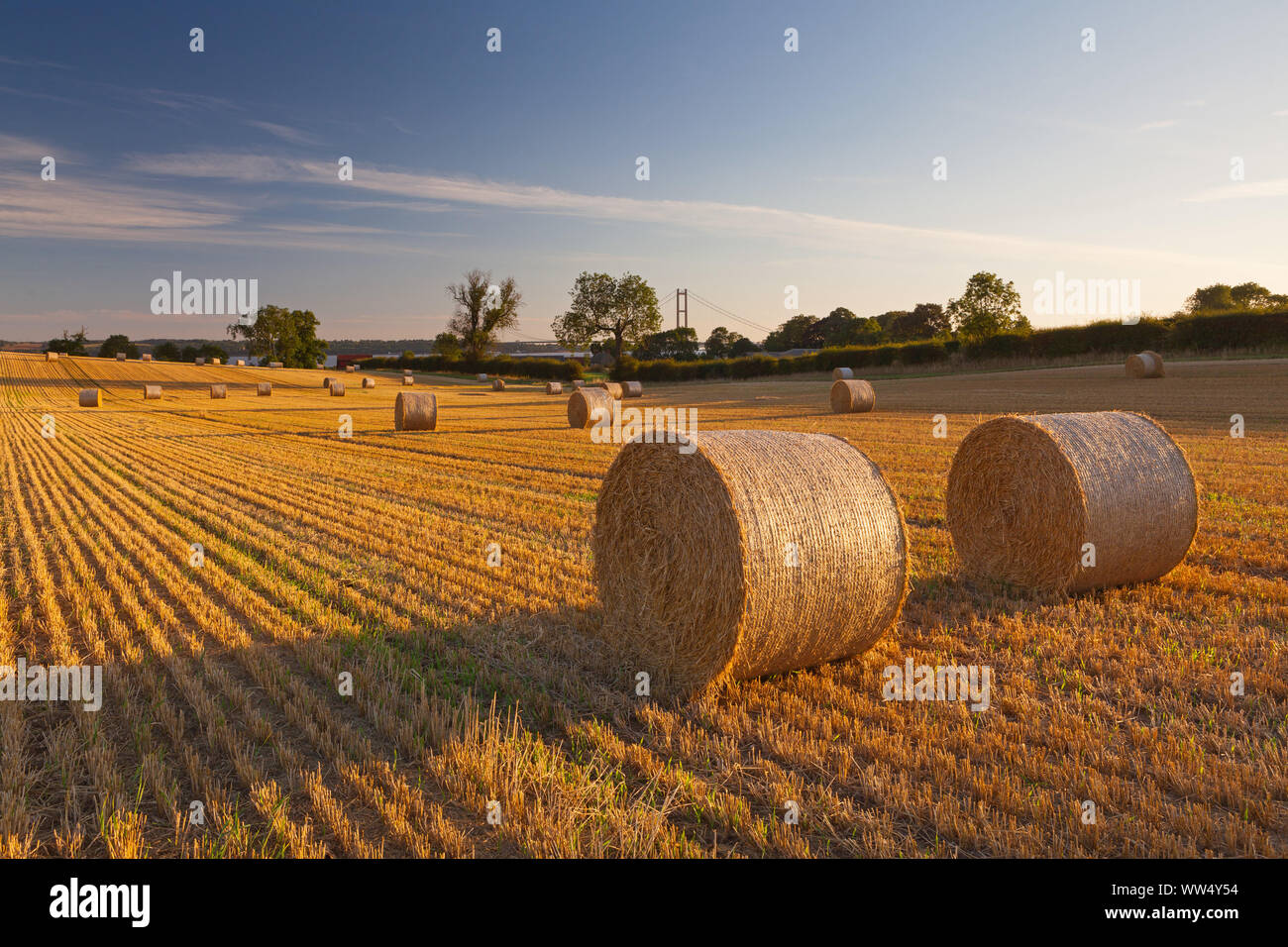 Barton-upon-Humber, North Lincolnshire, UK. 13th September 2019. UK Weather: A stubble field, shortly after sunrise, on a sunny September day in early autumn. Credit: LEE BEEL/Alamy Live News Stock Photo