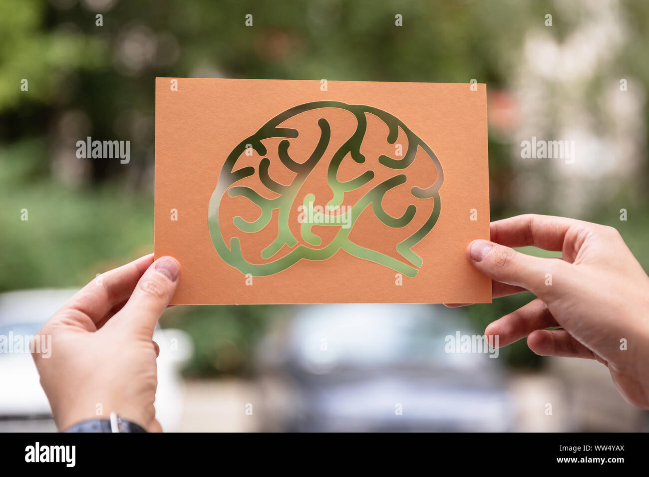 Hands Holding Paper With Cutout Brain Outdoors Stock Photo
