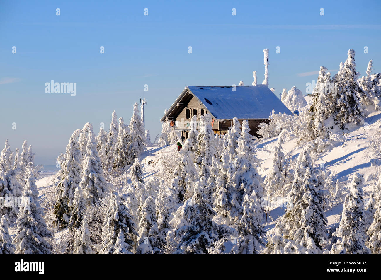 Zwiesel hut in winter, GroÃŸer Arber, Bavarian Forest Nature Park, Lower  Bavaria, Bavaria, Germany Stock Photo - Alamy