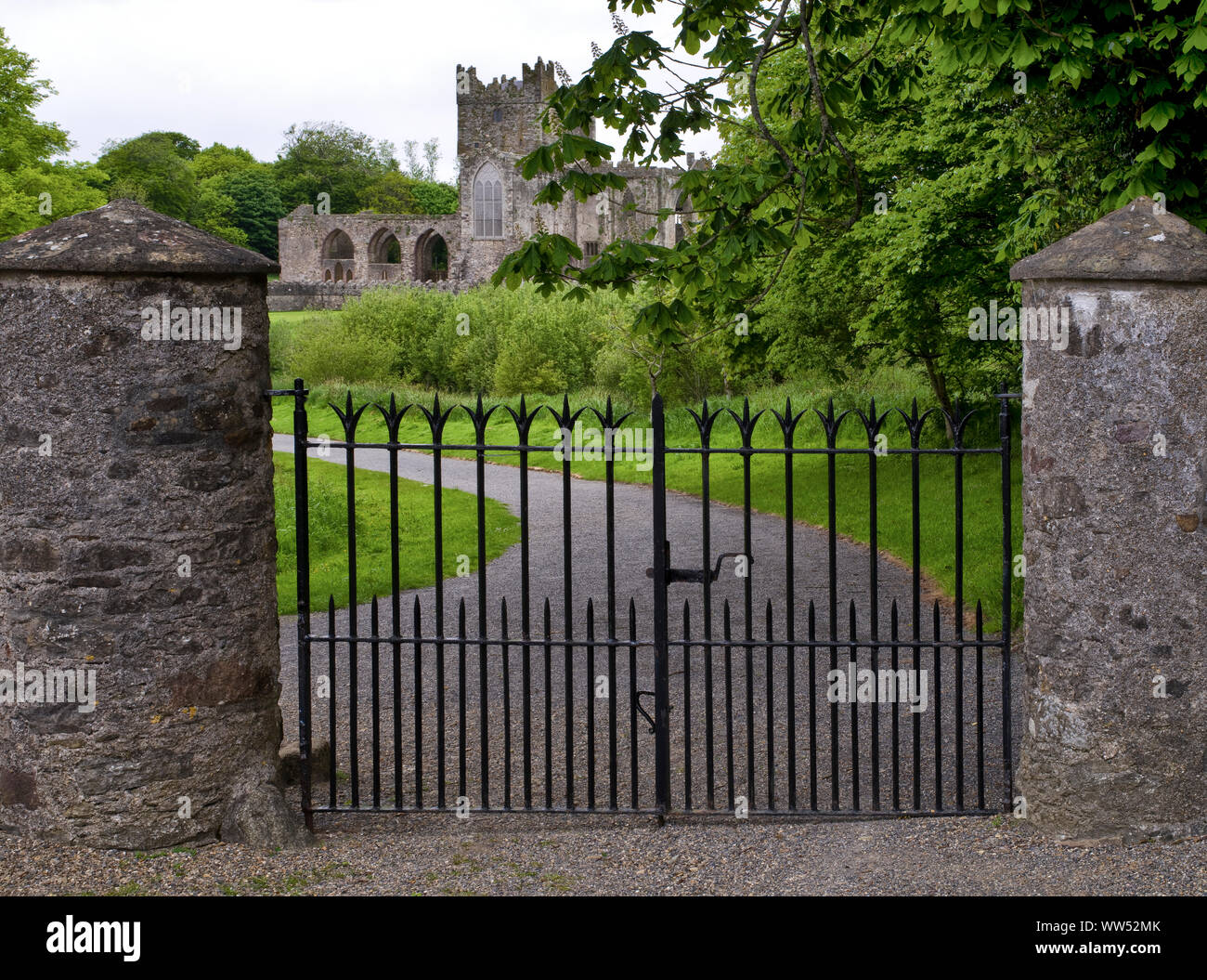 Ireland, County Wexford, Tintern Abbey on Hook peninsula, Cistercian monastery from the 12th century Stock Photo