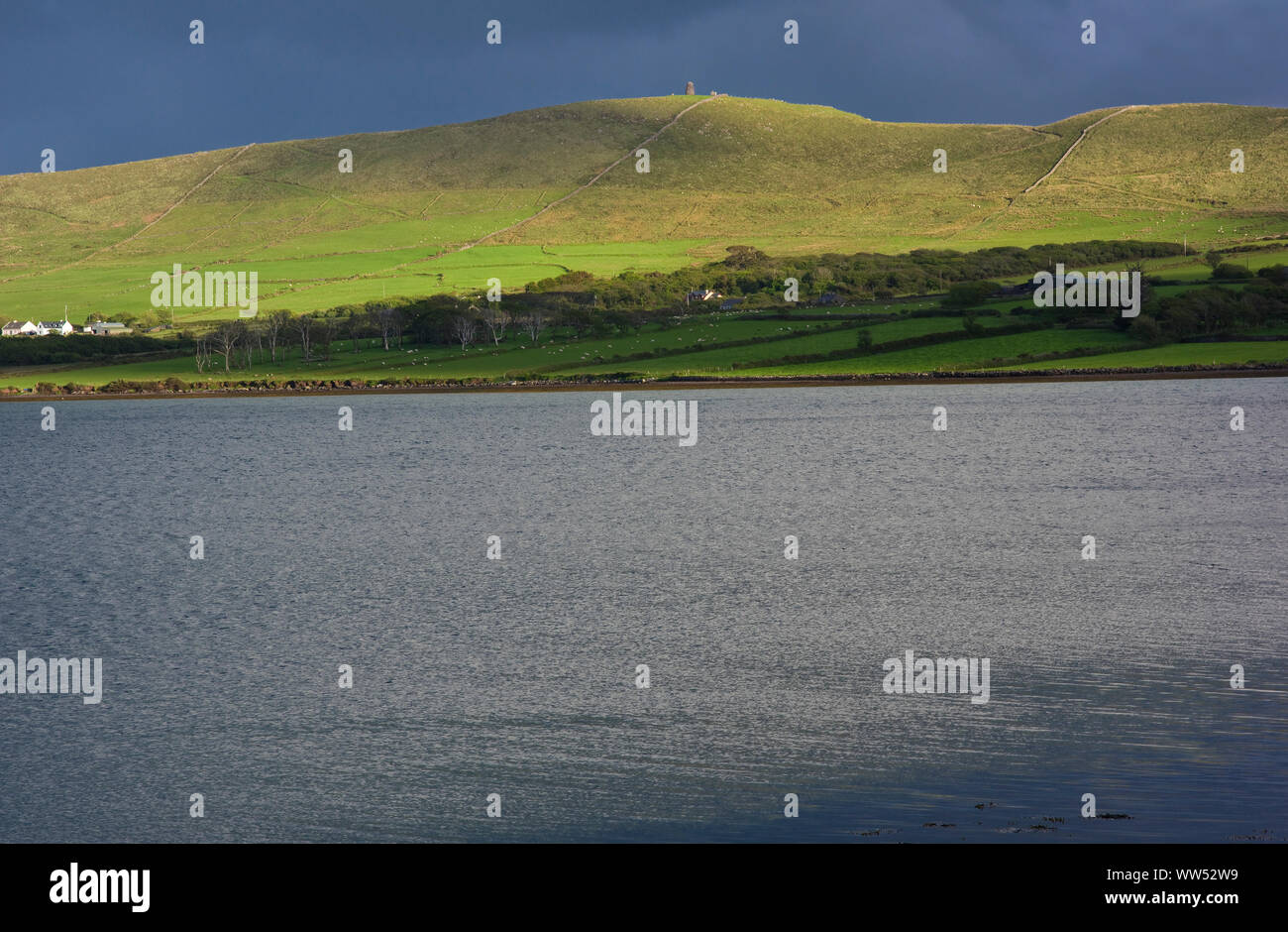 Ireland, County Kerry, Dingle peninsula, coast at the Dingle Bay Stock Photo