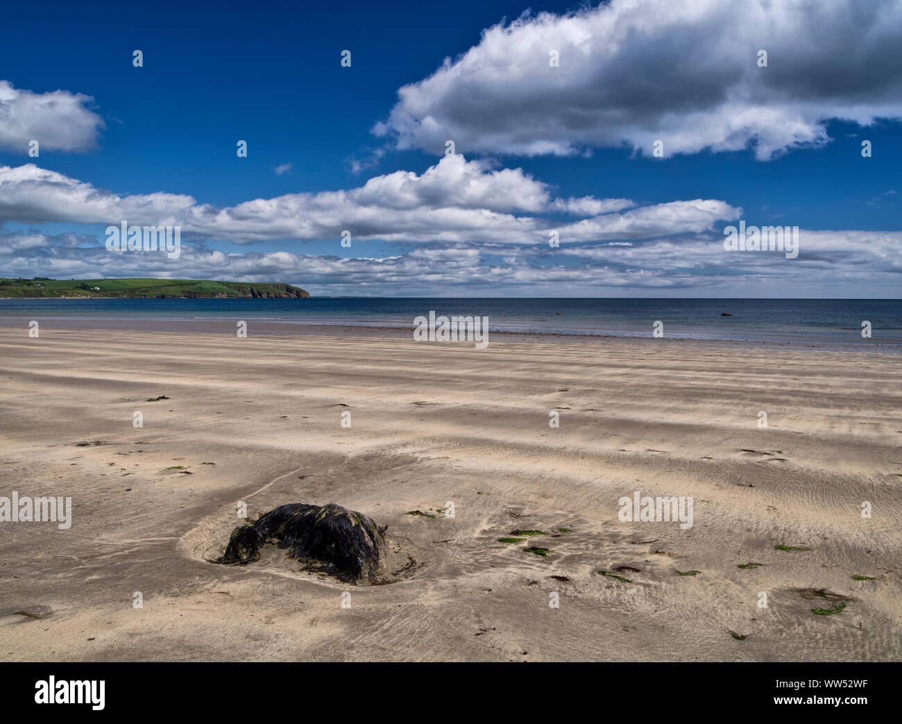 Ireland, County Waterford, beach at the Clonea Bay near Dungarvan Stock Photo