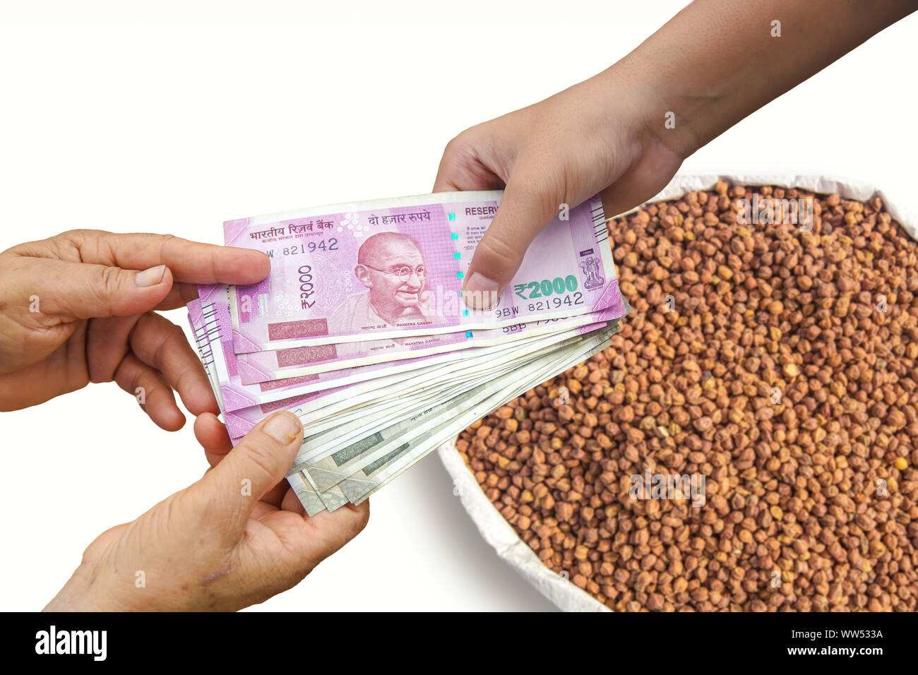 Farmer Selling Crops, Hand Giving Indian 500 and 2000 Rupee Bank Notes over bag, burlap full of black garbanzo , black chickpea , black chana.  Stock Photo