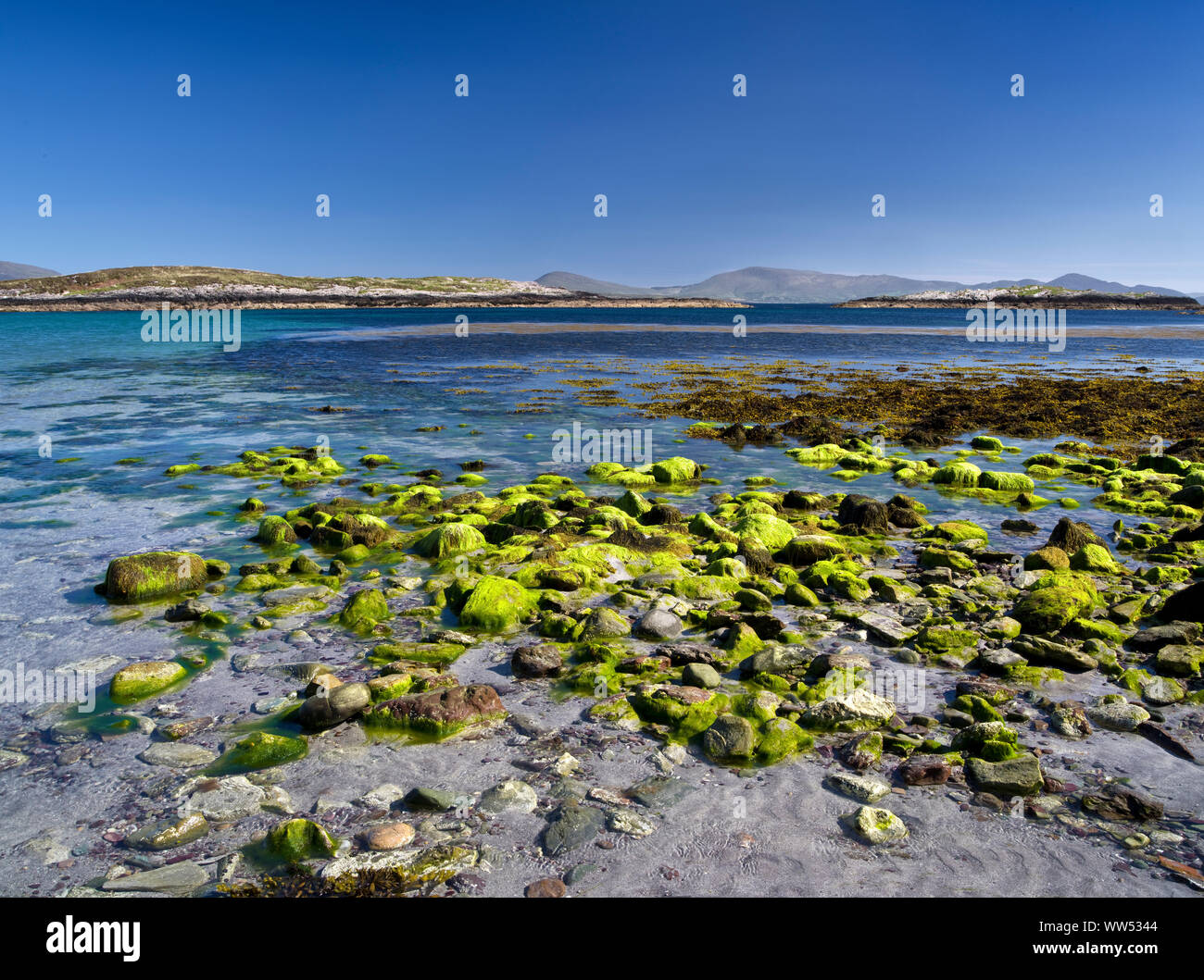 Ireland, County Kerry, Kenmare, coast at the Kenmare bay, Ring of Kerry Stock Photo