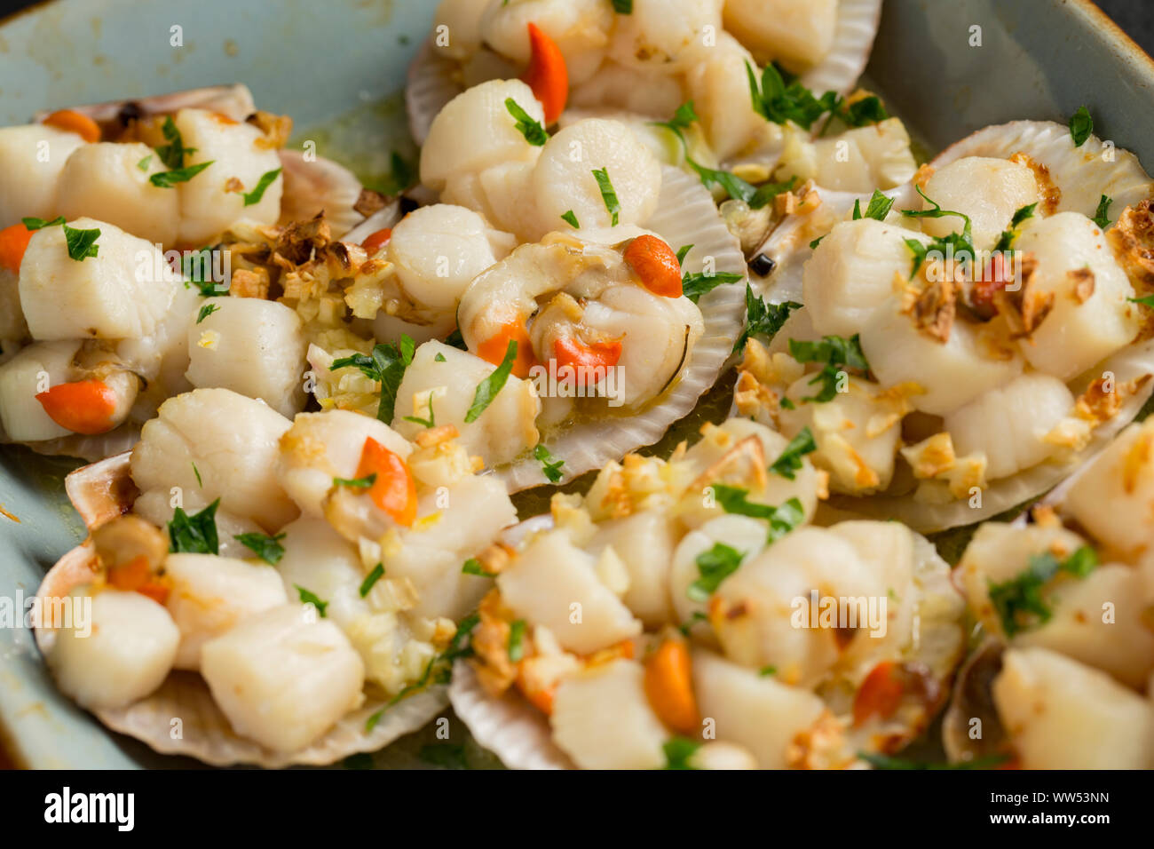 Queen scallop hires stock photography and images Alamy