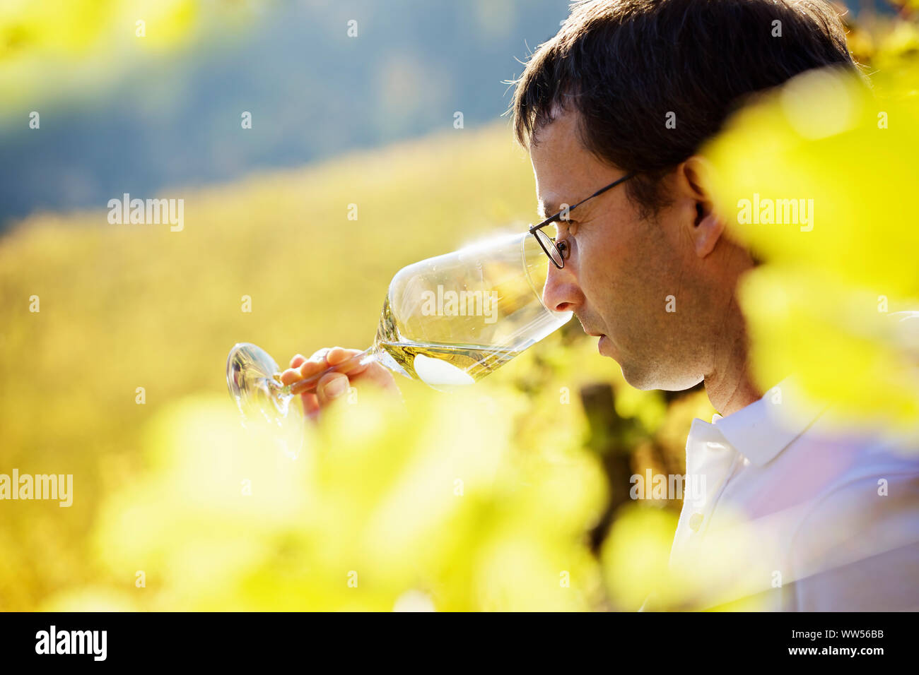 Wine grower tasting wine Stock Photo Alamy