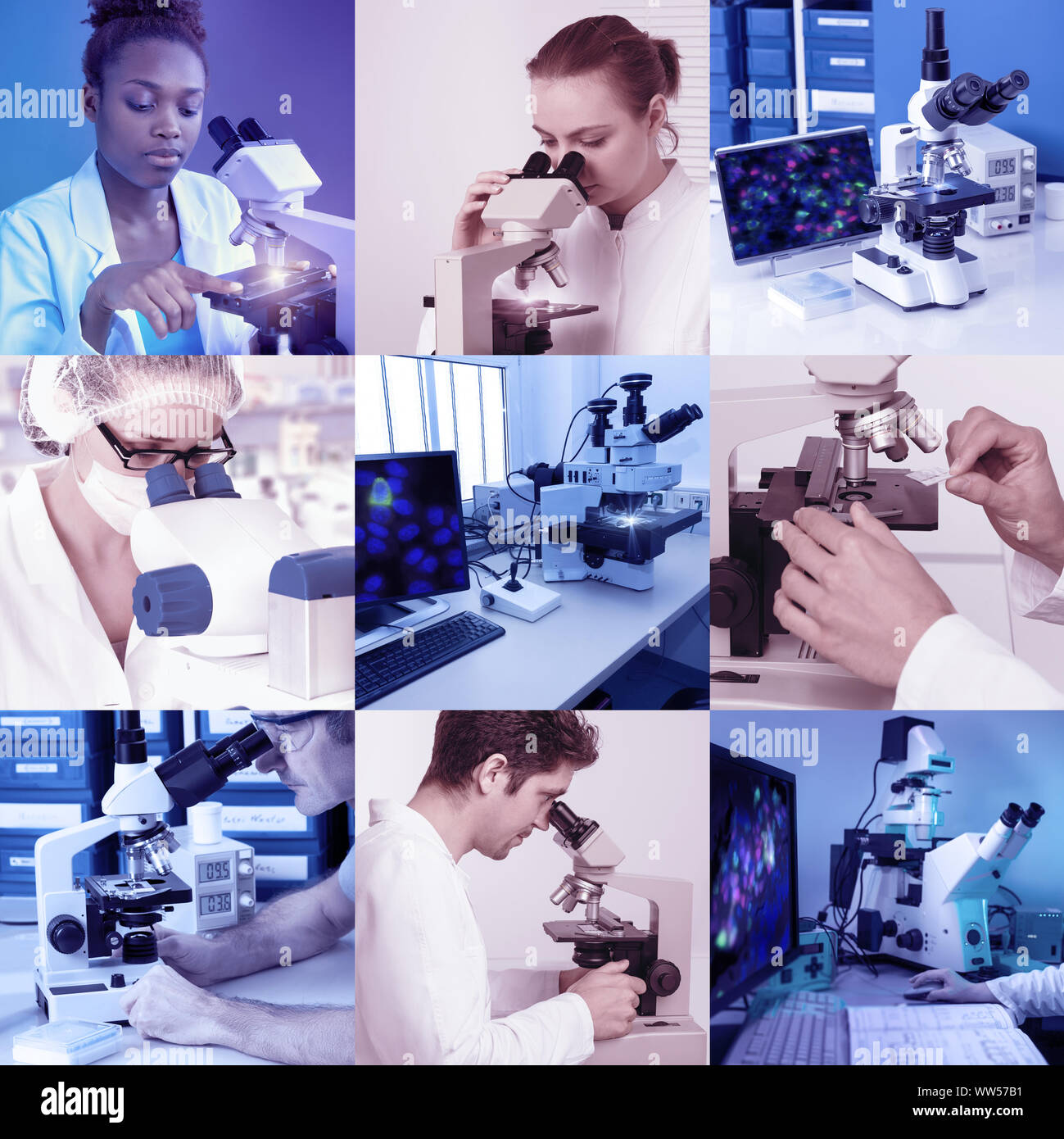 Animal tissue microscope hi-res stock photography and images - Alamy