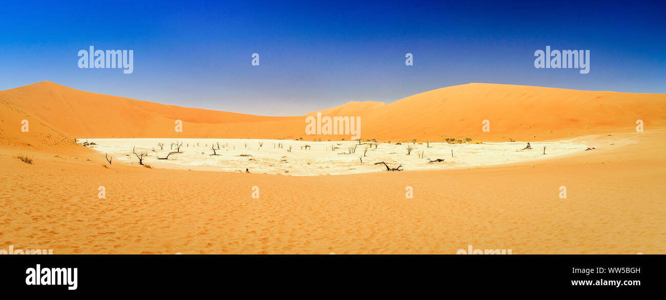 Large salt pan with dead trees surrounded by red sand dunes, Deadvlei, Namib Naukluft Park, Namibia Stock Photo