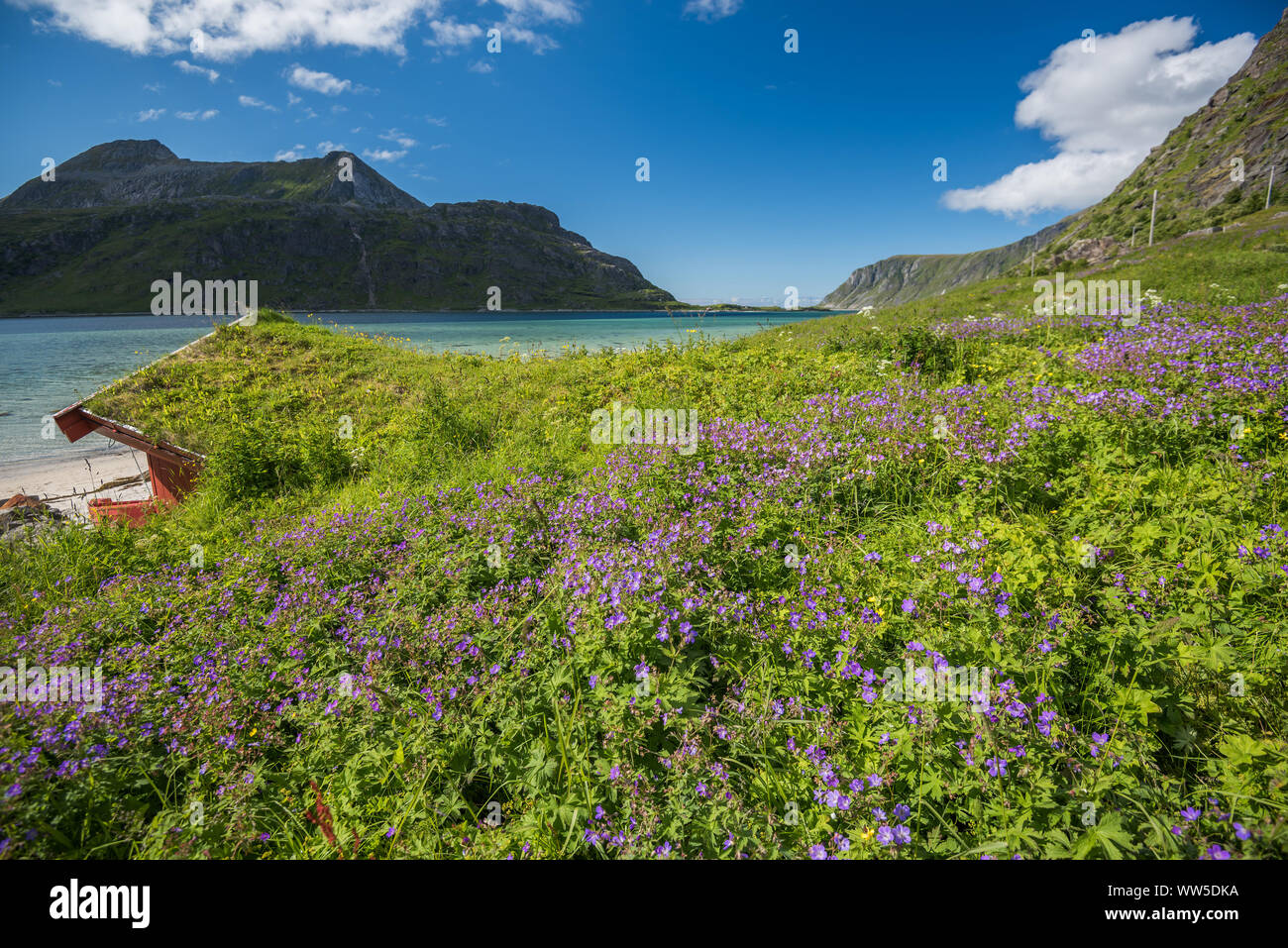 Norway beautiful landscape hi-res stock photography and images - Alamy