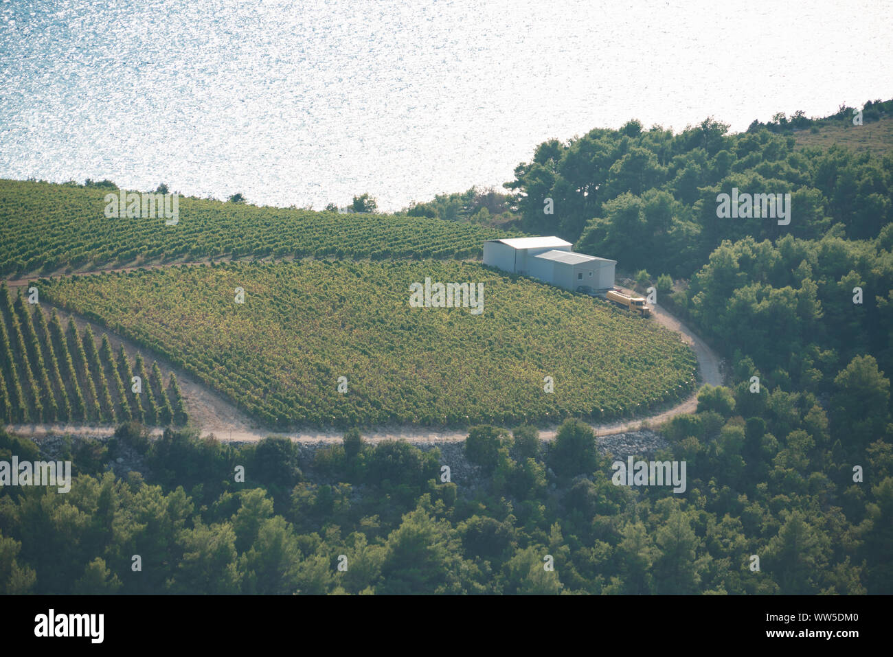 Vineyard industry hires stock photography and images Alamy