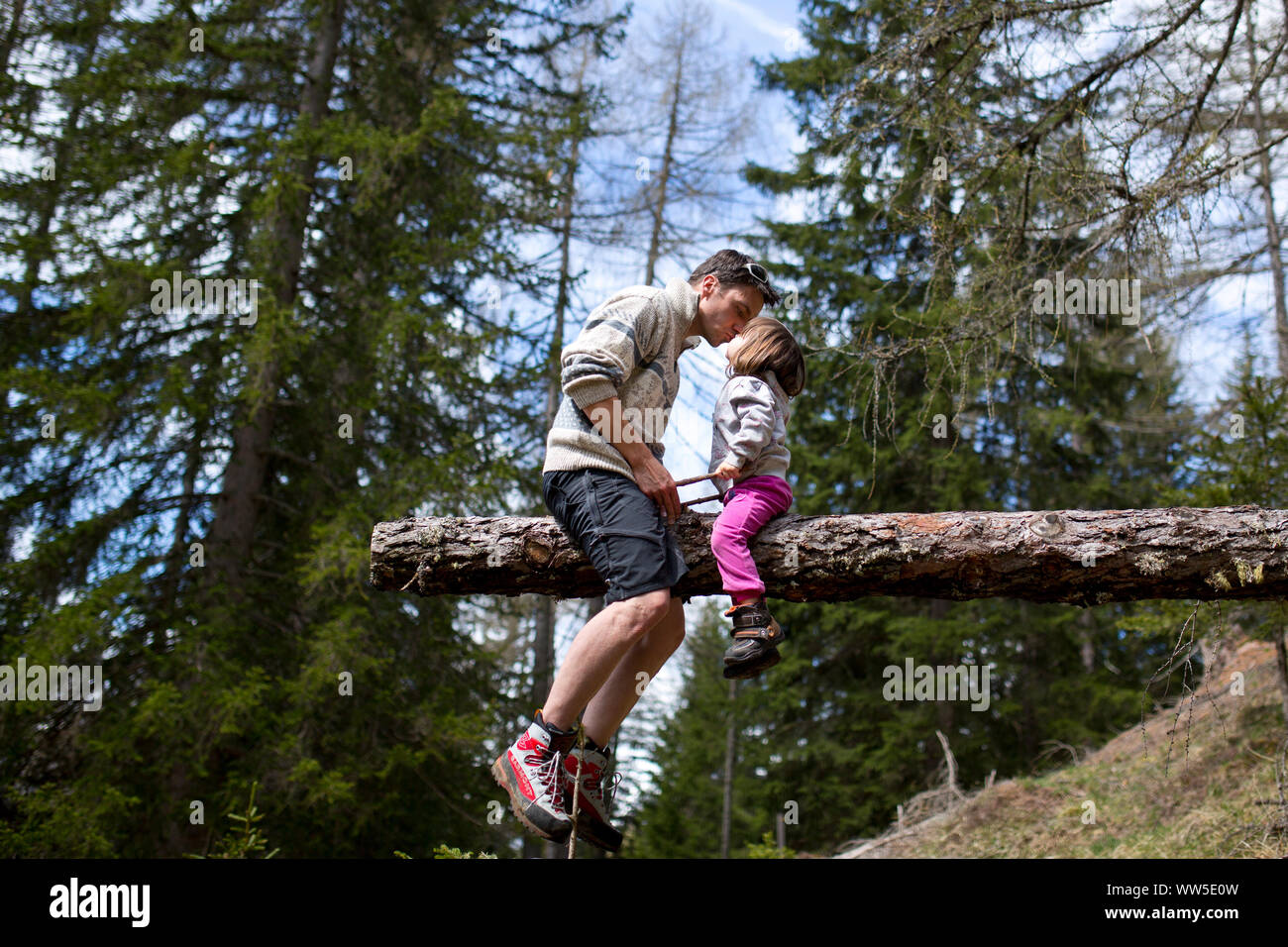 30-40 years old father sitting with 4-6 years old daughter on a trunk in the forest, affection, kiss Stock Photo