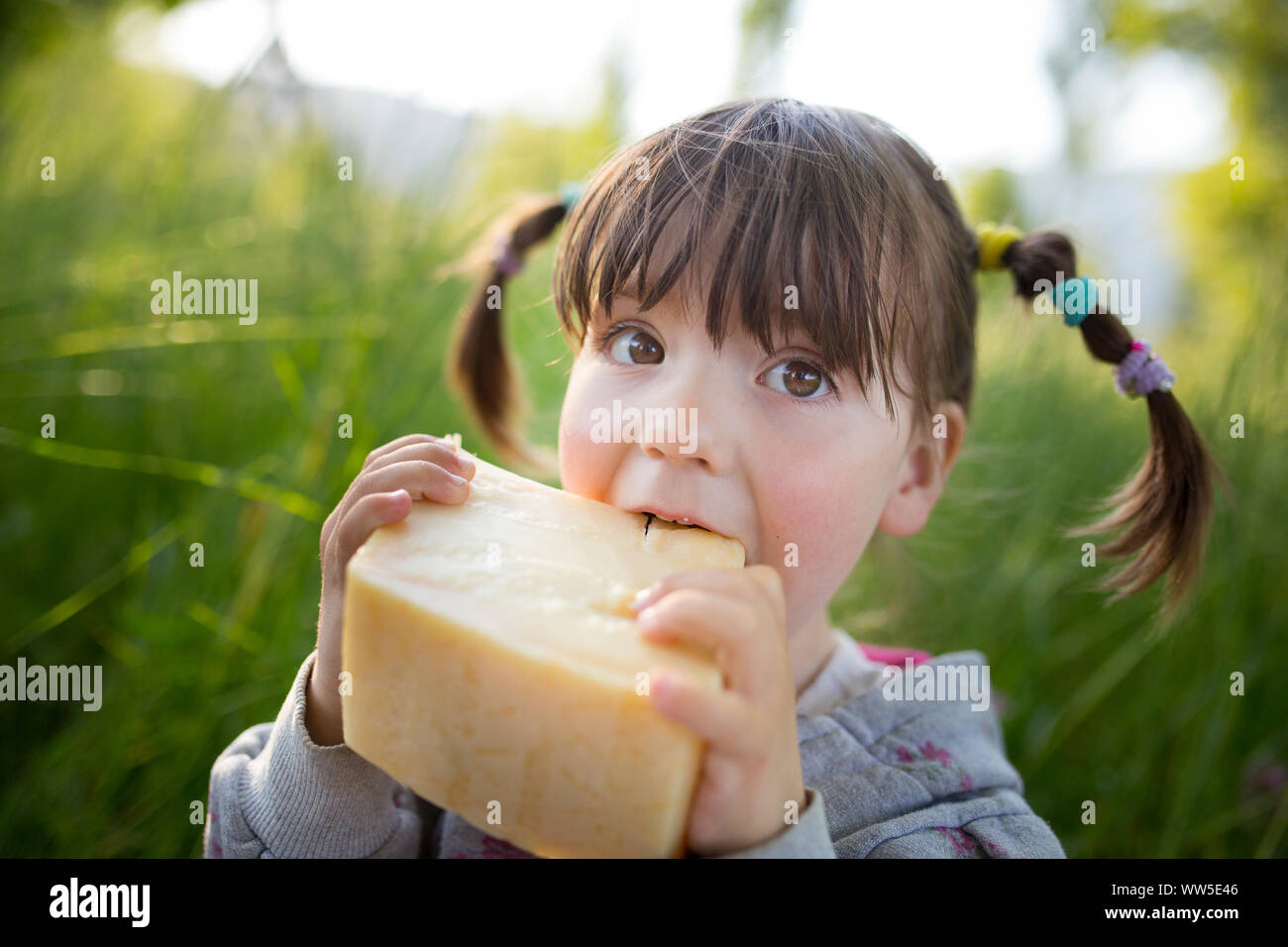 4-6 years old child eating a big piece of cheese on green meadow Stock Photo