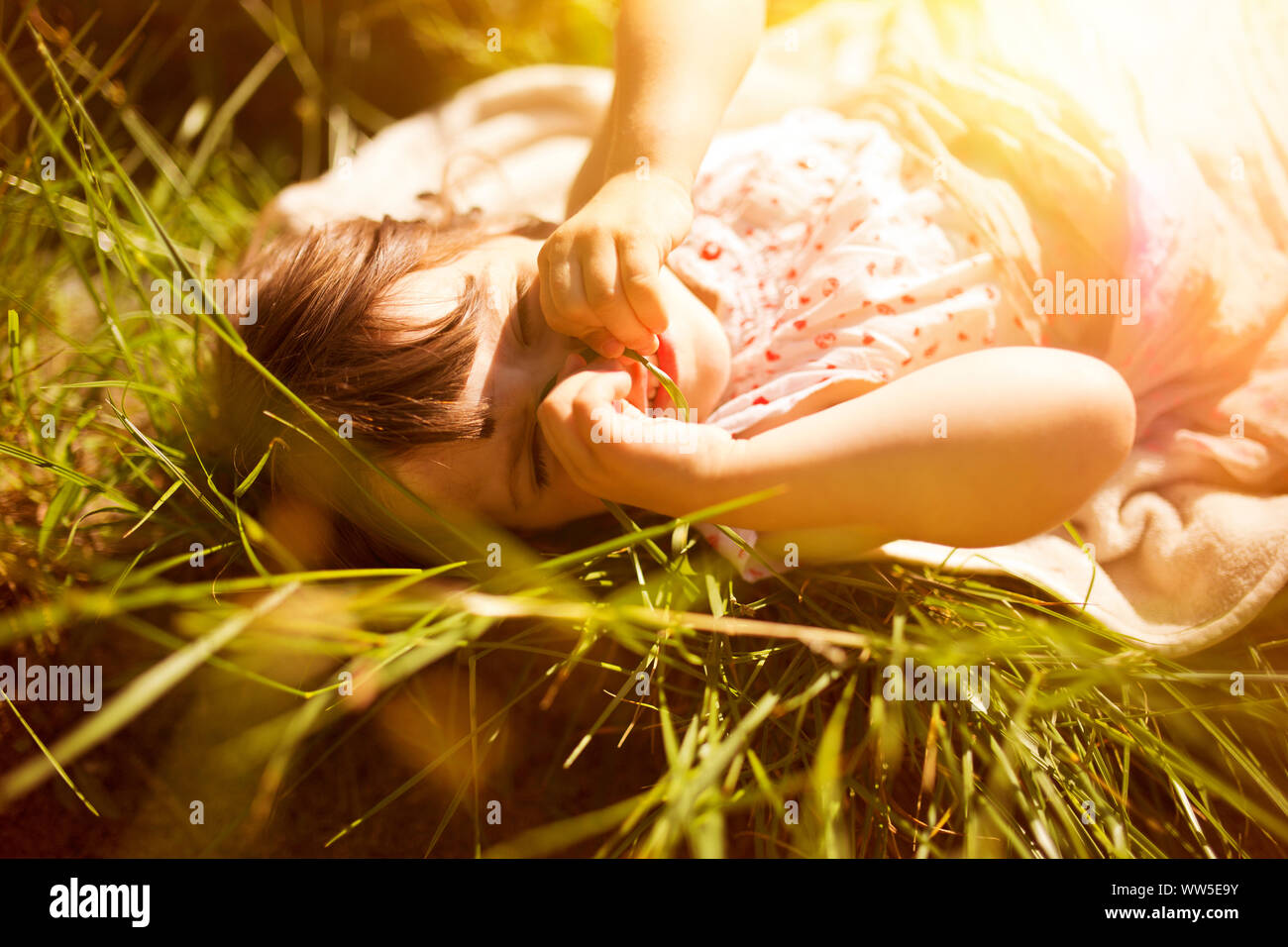 4-6 years old girl with dotted dress lying in the grass, sun, backlight, Stock Photo