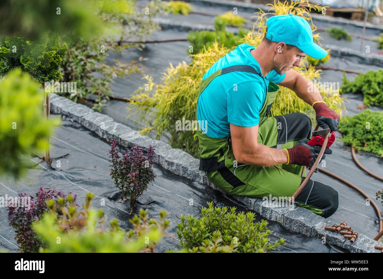 Sprinkler System Repairs Norwalk thumbnail