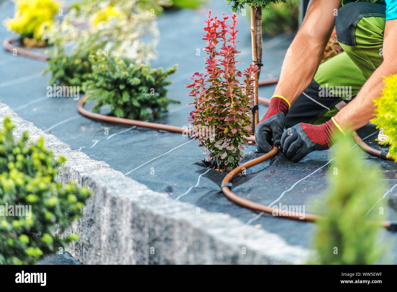 Residential Garden Irrigation System Building by Professional