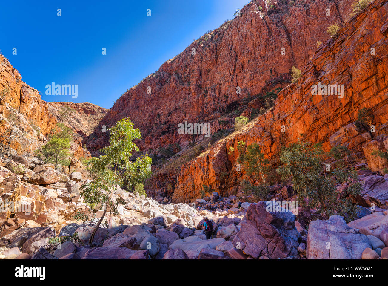 Woman Hiking in Ormiston Gorge, West MacDonnell National Park, Northern Territory, Australia Stock Photo