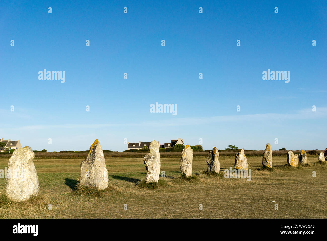 view of prehistoric monolith stone alignements in Brittany in warm morning light Stock Photo