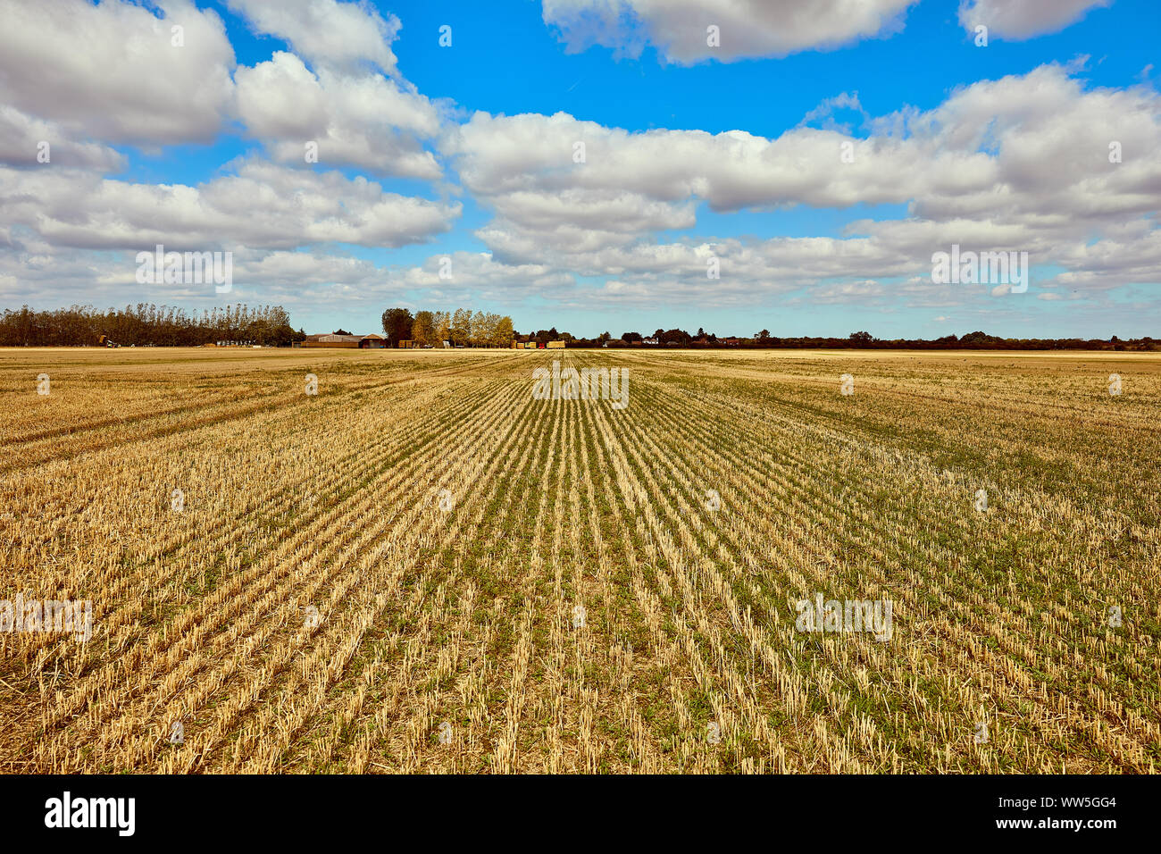 London, U.K. - Sept 1, 2019: A field at Harmondsworth. Plans for a third runway at Heathrow would cover the area seen. Stock Photo