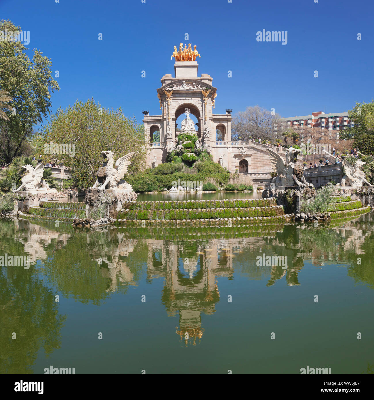 My Image 24